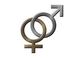 Male:Female Symbols